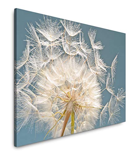 Paul Sinus Art Pusteblume Nahaufnahme 180 x 120 cm Inspirierende Fotokunst in Museums-Qualität für Ihr Zuhause als Wandbild auf Leinwand in XXL Format Paul Sinus Art Pusteblume Nahaufnahme 180 x 120 cm Inspirierende Fotokunst in Museums-Qualität für Ihr Zuhause als Wandbild auf Leinwand in XXL Format von Paul Sinus Art