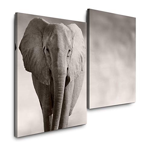 Sinus Art Afrikanischer Elefant 120x80cm 2 Kunstdrucke je 70x60cm Kunstdruck modern Wandbilder XXL Wanddekoration Design Wand Bild von Sinus Art