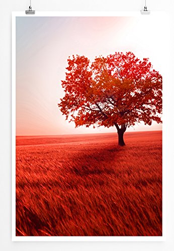 Sinus Art Kunst und Deko Poster - Landschaftsfotografie – Einsamer Baum in roter Landschaft- Fotodruck in gestochen scharfer Qualität von Sinus Art