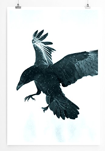 Sinus Art Kunst und Deko Poster - Tierfotografie – Schwarze Krähe im Flug- Fotodruck in gestochen scharfer Qualität von Sinus Art
