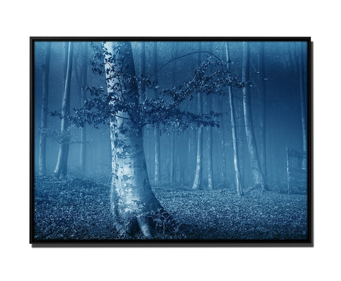 Sinus Art Leinwandbild 105x75cm Leinwandbild Petrol Baum Blätterwald Herbst von Sinus Art