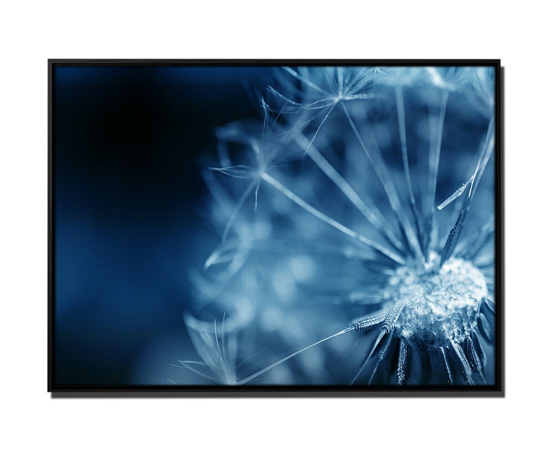 Sinus Art Leinwandbild 105x75cm Leinwandbild Petrol Blume Löwenzahn von Sinus Art