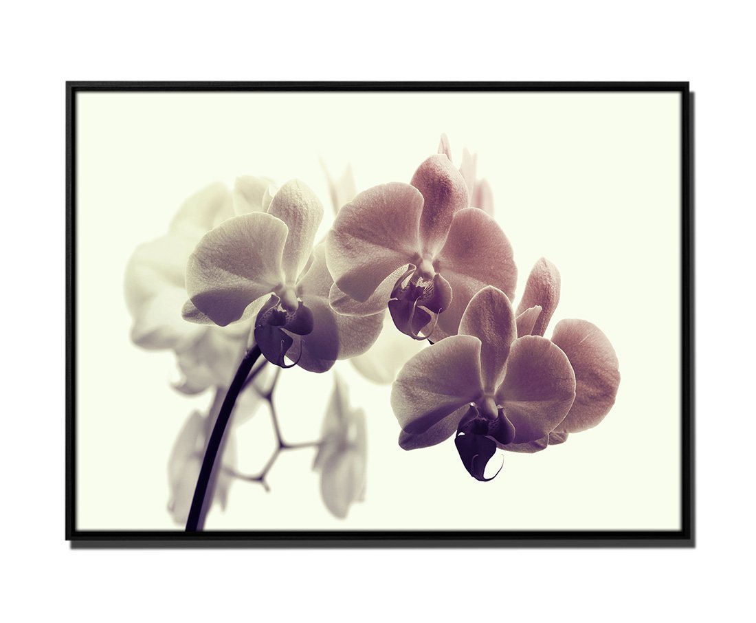 Sinus Art Leinwandbild 105x75cm Leinwandbild Petrol Blume Orchidee Makro-Bild von Sinus Art