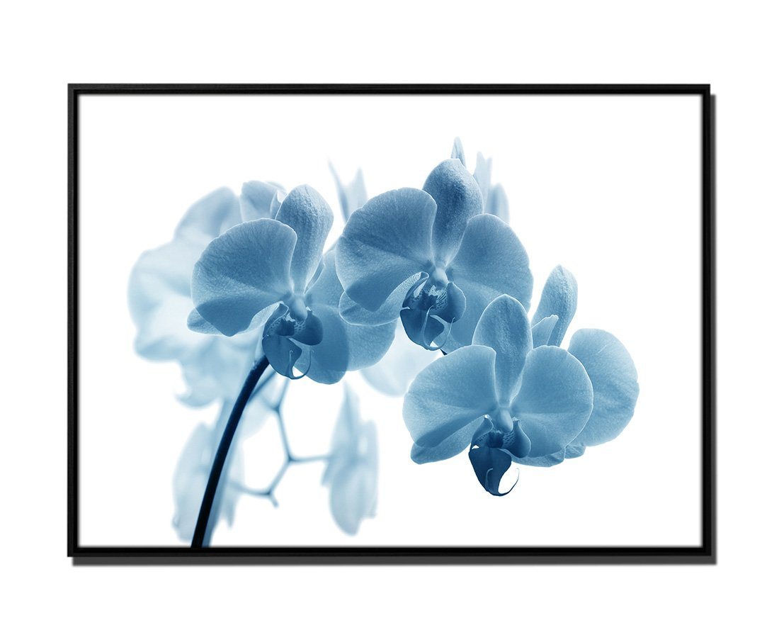 Sinus Art Leinwandbild 105x75cm Leinwandbild Petrol Blume Orchidee Makro-Bild von Sinus Art