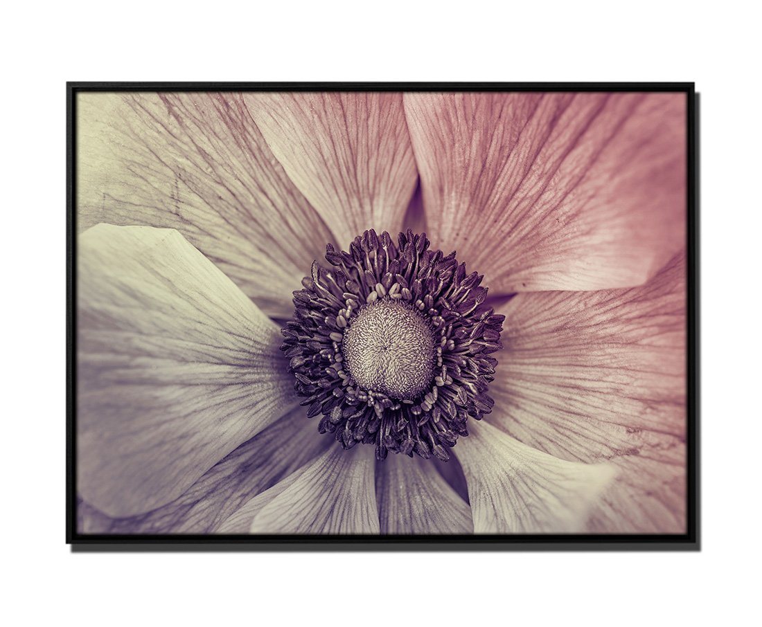 Sinus Art Leinwandbild 105x75cm Leinwandbild Petrol Innere Blume Lila Makro-Bild von Sinus Art