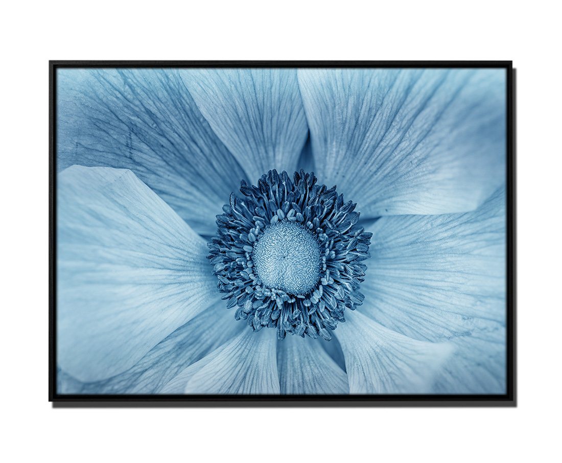 Sinus Art Leinwandbild 105x75cm Leinwandbild Petrol Innere Blume Lila Makro-Bild von Sinus Art