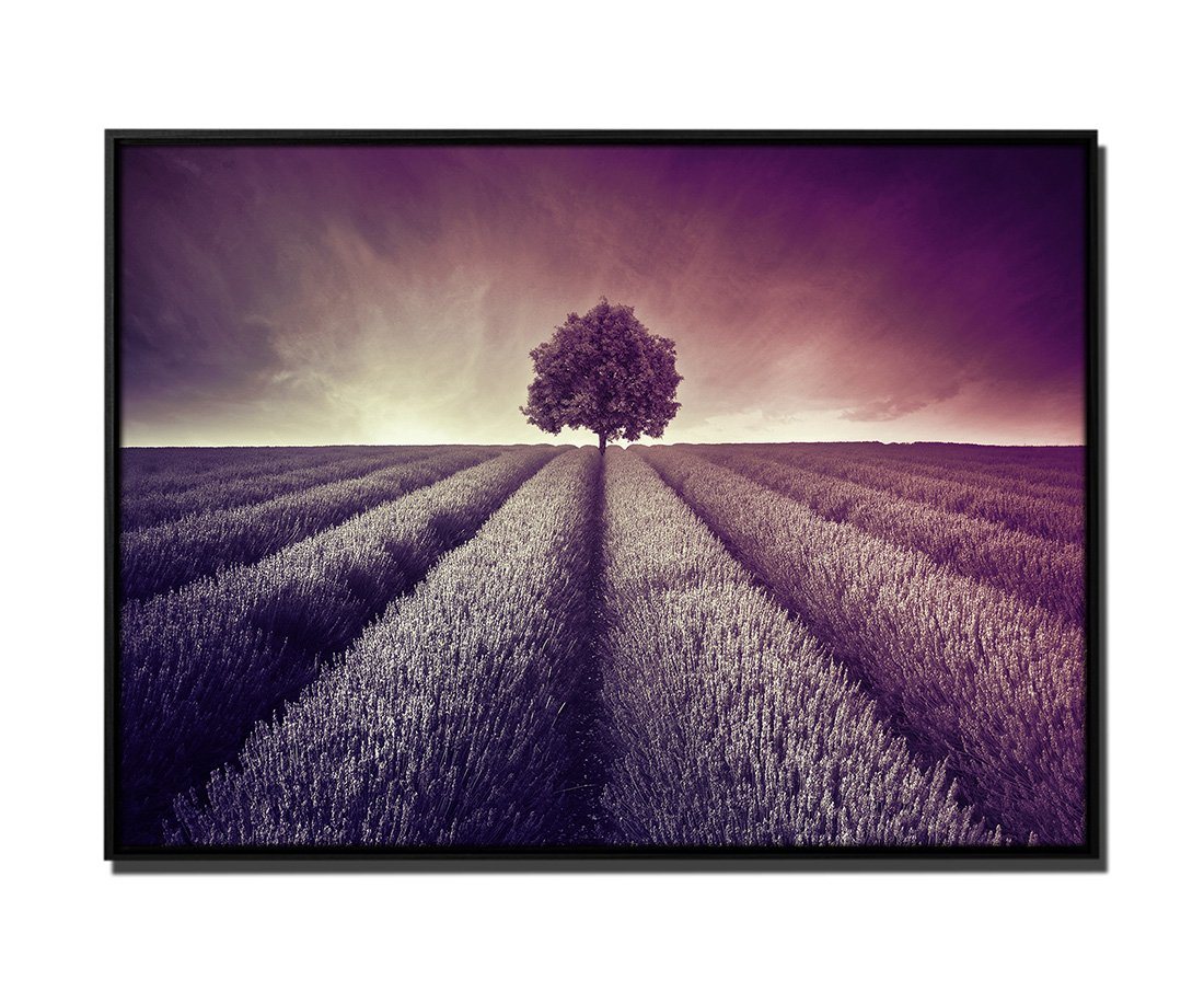 Sinus Art Leinwandbild 105x75cm Leinwandbild Petrol Landschaft Lavendelfelder Baum von Sinus Art