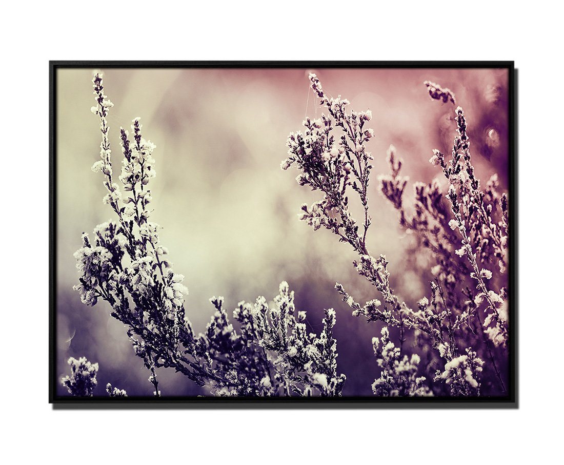 Sinus Art Leinwandbild 105x75cm Leinwandbild Petrol Natur Heide Blume Makro-Bild von Sinus Art