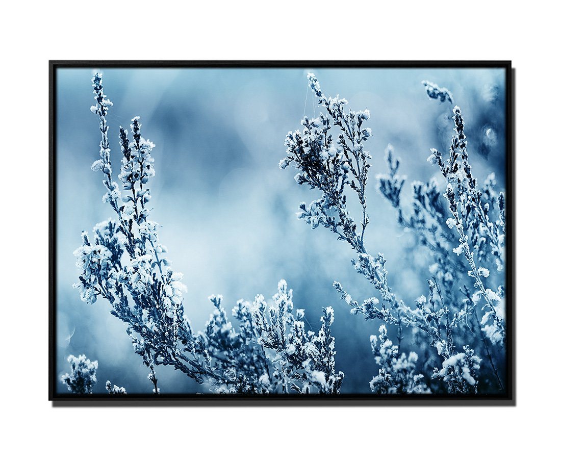 Sinus Art Leinwandbild 105x75cm Leinwandbild Petrol Natur Heide Blume Makro-Bild von Sinus Art