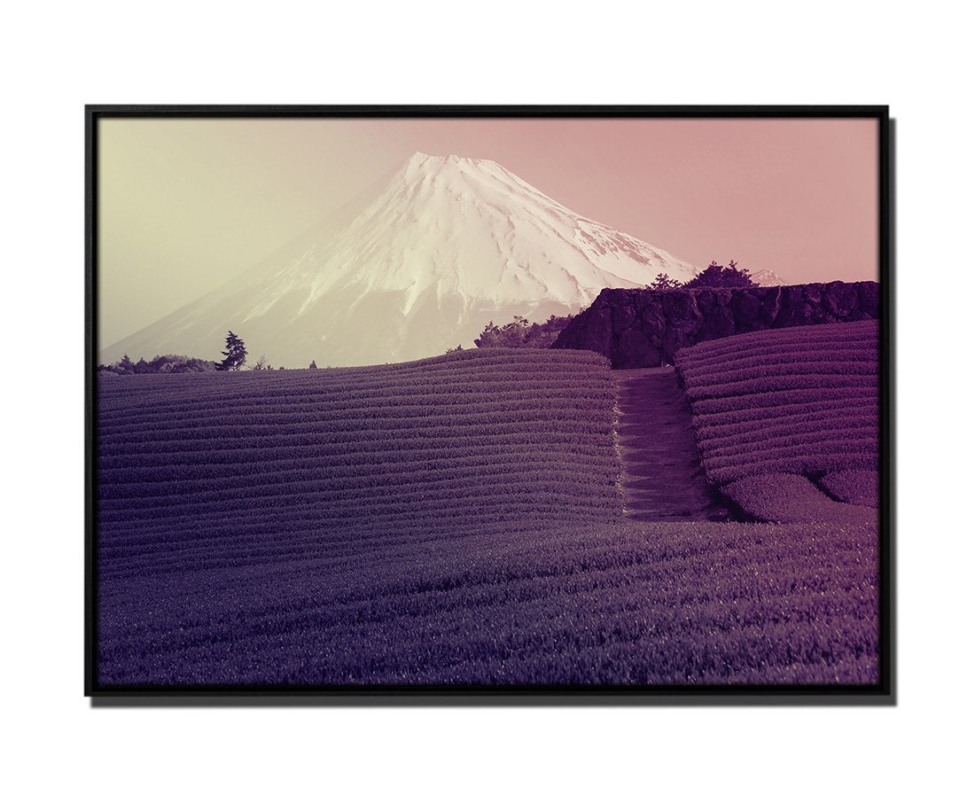 Sinus Art Leinwandbild 105x75cm Leinwandbild Petrol Natur Teeplantage Shizuoka, Yapaniyas von Sinus Art