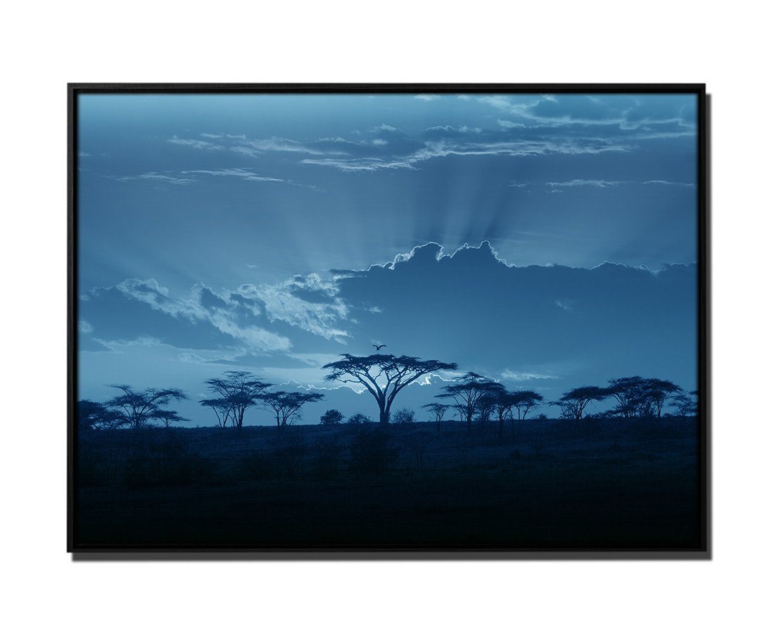 Sinus Art Leinwandbild 105x75cm Leinwandbild Petrol Sonnenuntergang Afrika Akazienbaum von Sinus Art