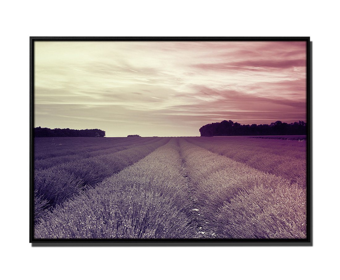 Sinus Art Leinwandbild 105x75cm Leinwandbild Petrol Sonnenuntergang Lavendelfeld Frankreich von Sinus Art
