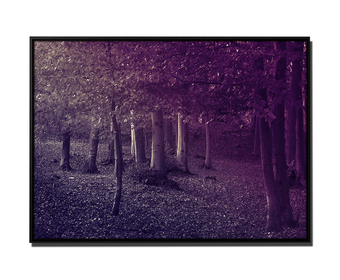 Sinus Art Leinwandbild 105x75cm Leinwandbild Petrol Wald Bäume Herbst von Sinus Art