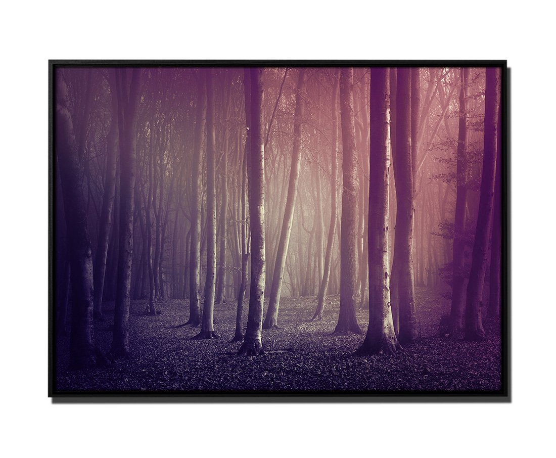 Sinus Art Leinwandbild 105x75cm Leinwandbild Petrol Wald Bäume Nebel von Sinus Art