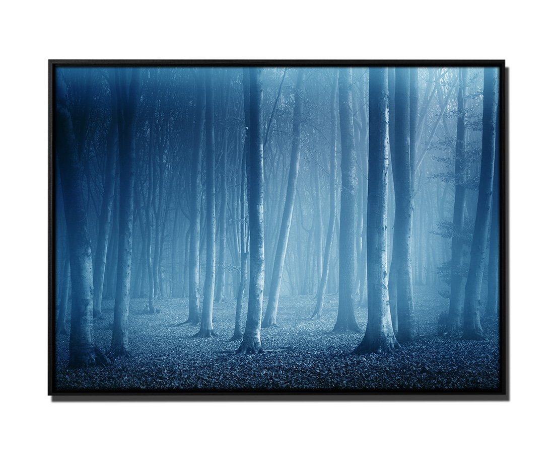 Sinus Art Leinwandbild 105x75cm Leinwandbild Petrol Wald Bäume Nebel von Sinus Art