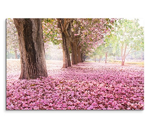 Sinus Art Leinwandbild 120x80cm Naturfotografie – Romantische rosa Allee von Sinus Art