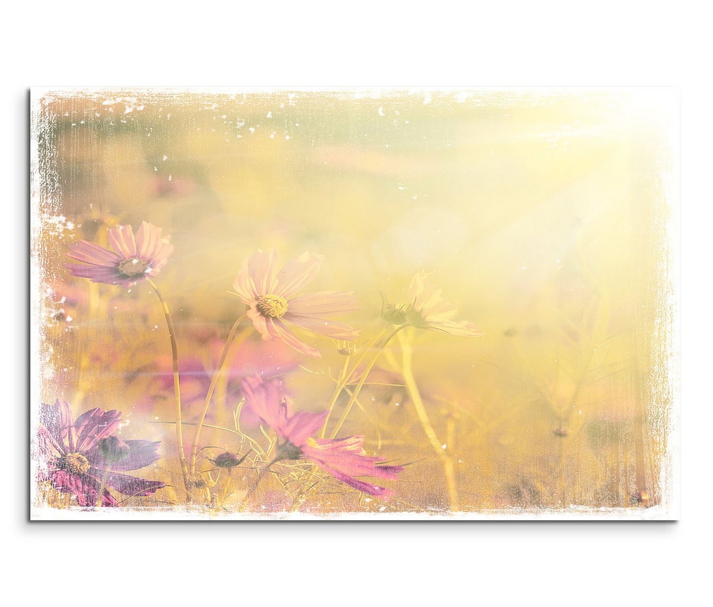 Sinus Art Leinwandbild 120x80cm Wandbild Blüten Blumen Wiese vintage von Sinus Art