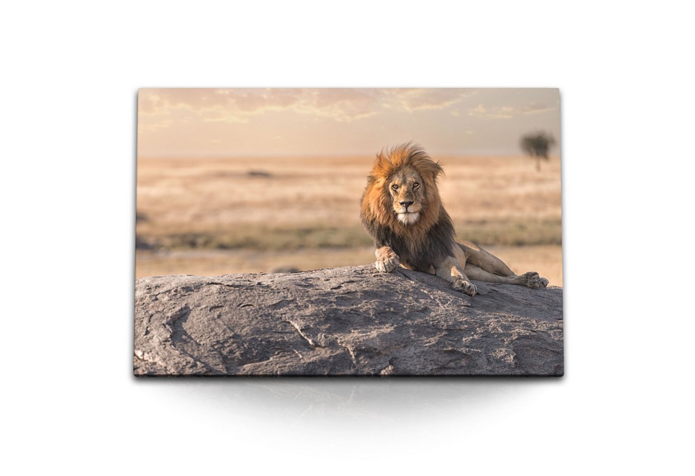Sinus Art Leinwandbild 120x80cm Wandbild auf Leinwand Afrikanische Landschaft Tierfotografie, (1 St) von Sinus Art