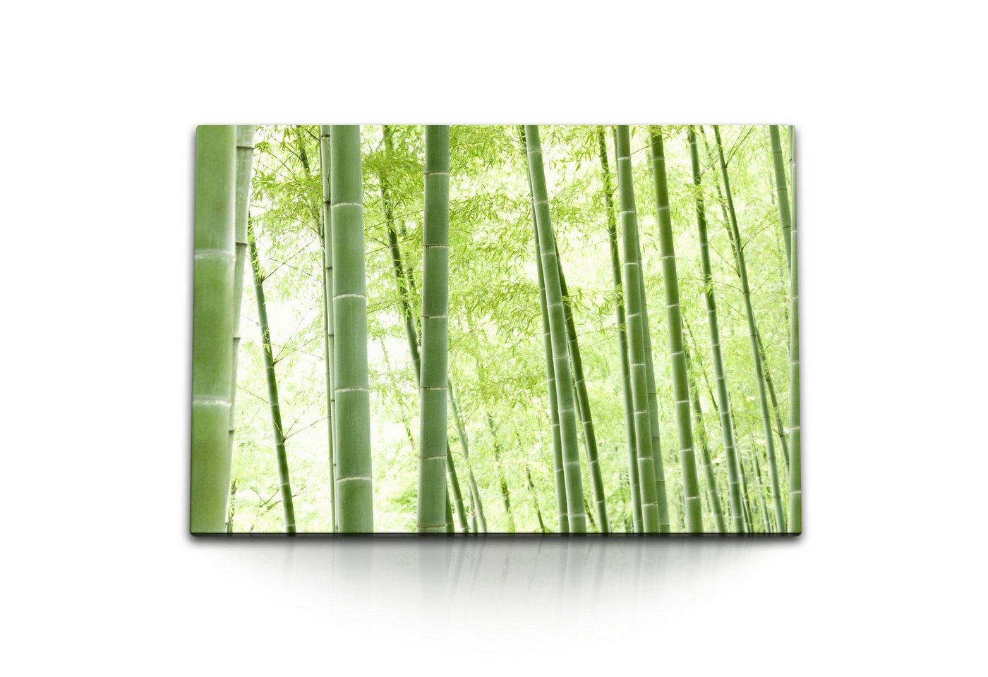 Sinus Art Leinwandbild 120x80cm Wandbild auf Leinwand Bambus Bambuswald Asien Natur Grün, (1 St) von Sinus Art
