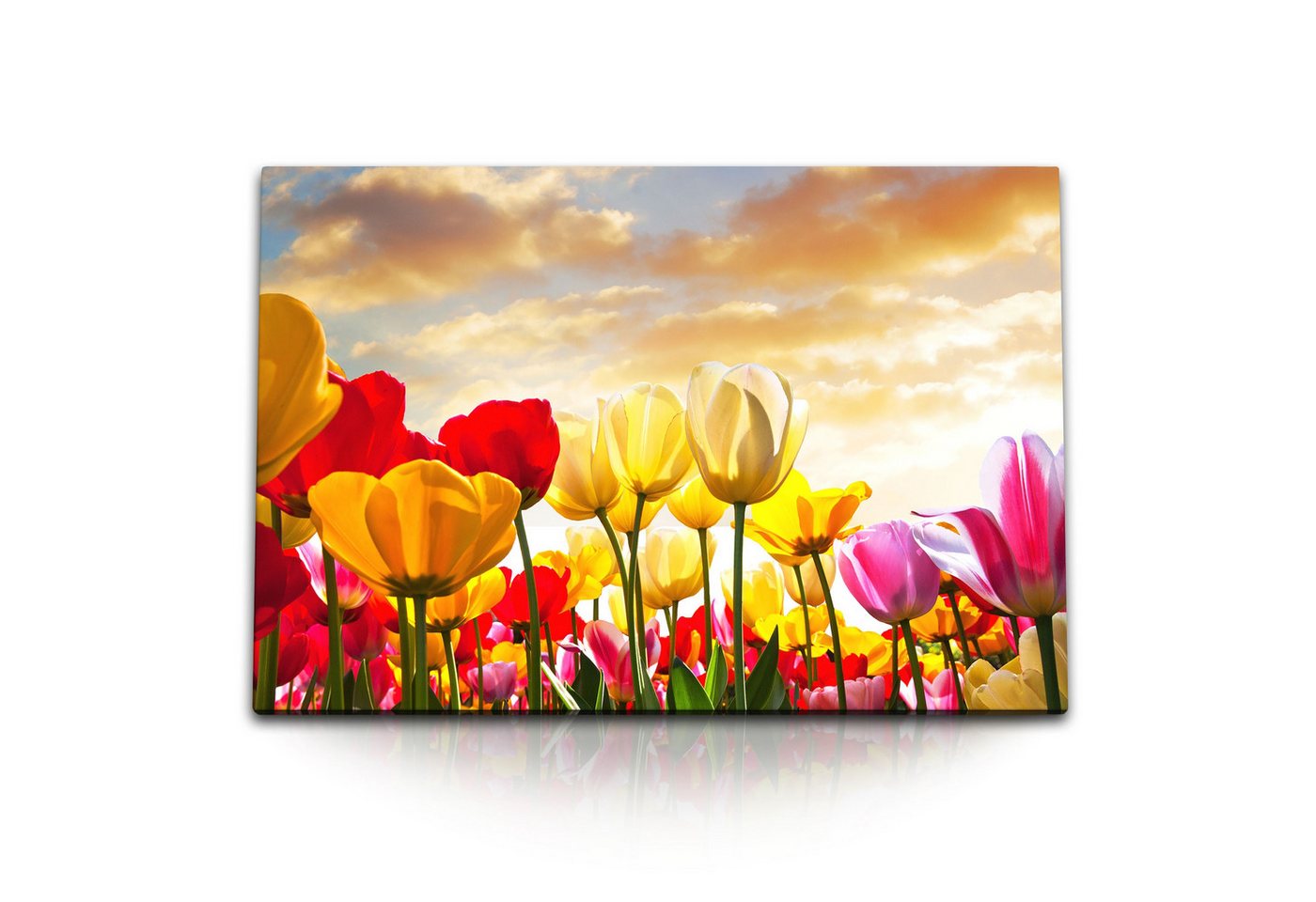 Sinus Art Leinwandbild 120x80cm Wandbild auf Leinwand Bunte Tulpen Blumen Holland Himmel Sonn, (1 St) von Sinus Art