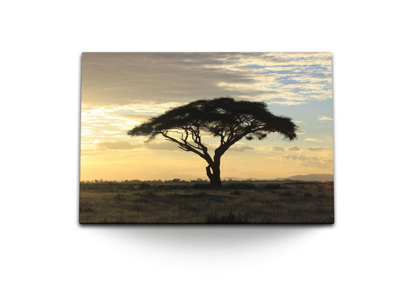 Sinus Art Leinwandbild 120x80cm Wandbild auf Leinwand Burkea africana Baum afrikanische Lands, (1 St) von Sinus Art