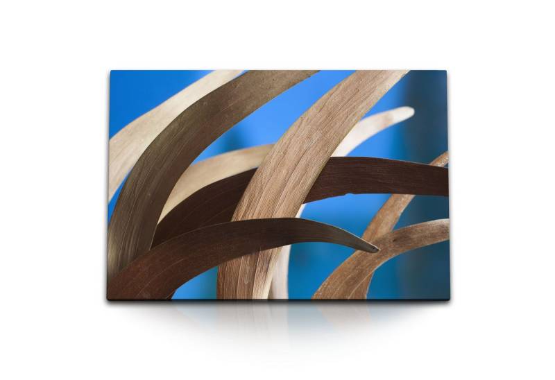 Sinus Art Leinwandbild 120x80cm Wandbild auf Leinwand Fotokunst Pflanze Blau Kunstvoll Natur, (1 St) von Sinus Art