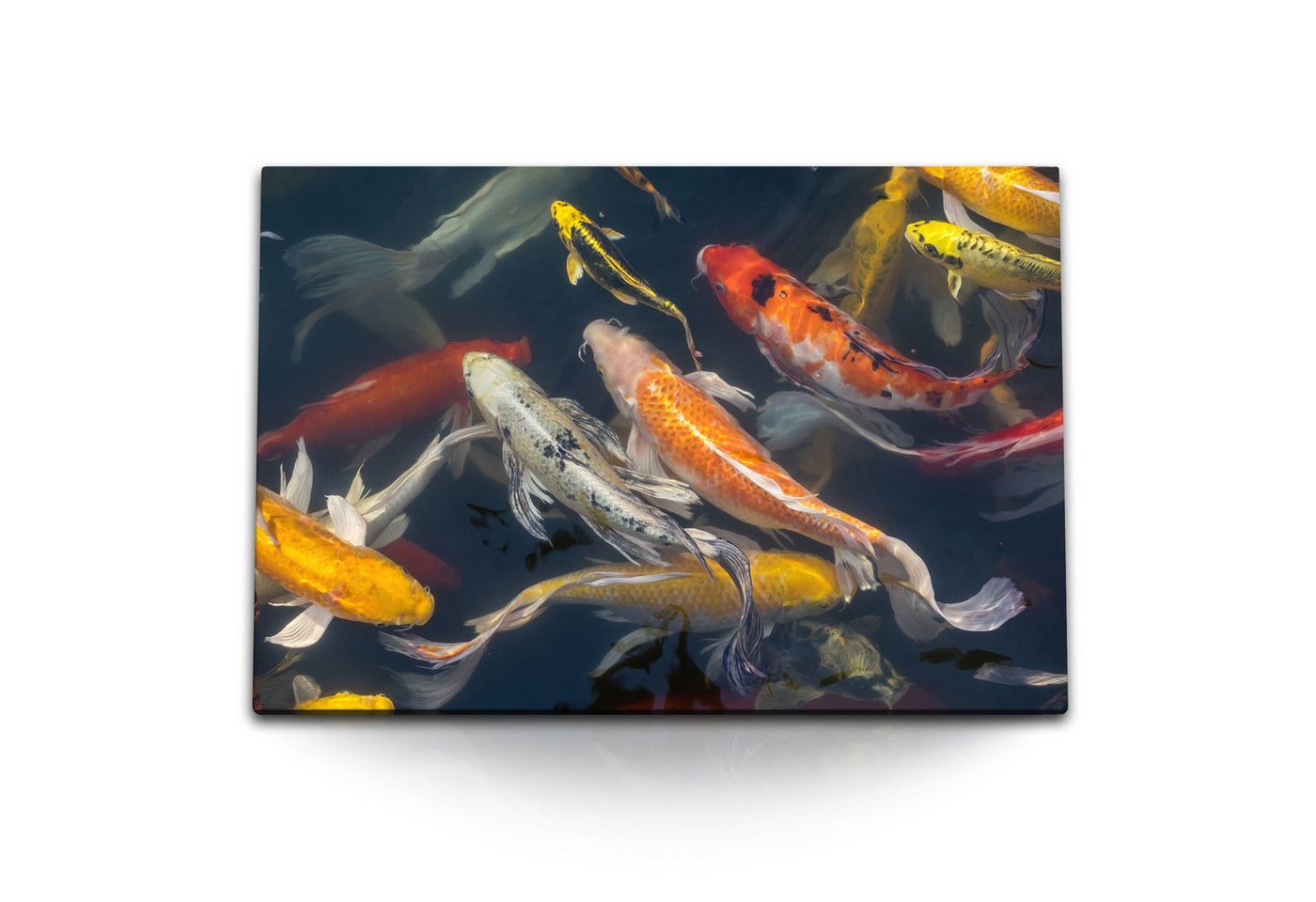 Sinus Art Leinwandbild 120x80cm Wandbild auf Leinwand Koi Fisch Koiteich Zuchtkarpfen Japan T, (1 St) von Sinus Art