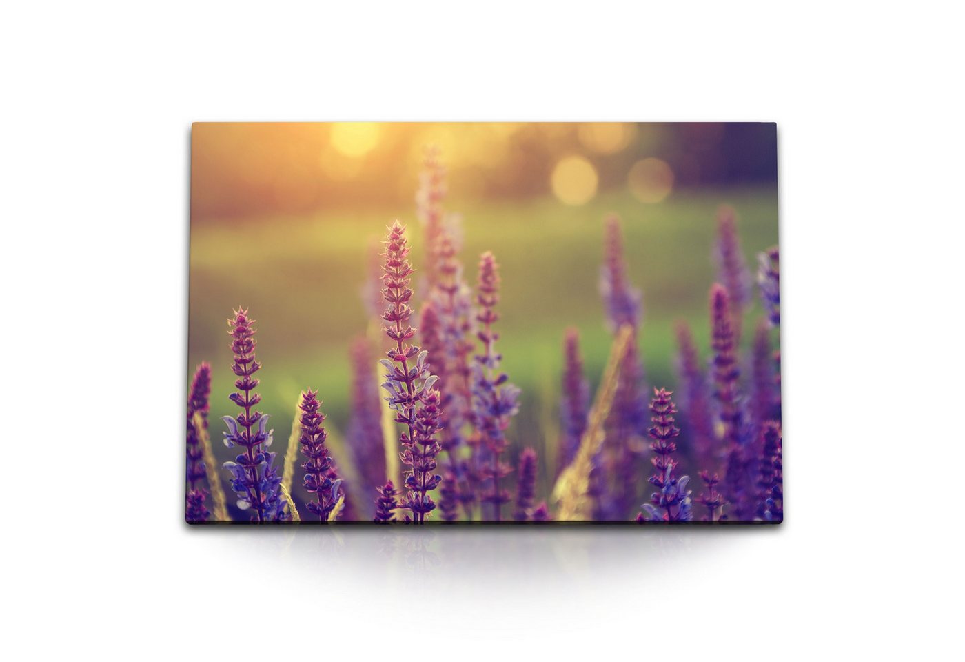 Sinus Art Leinwandbild 120x80cm Wandbild auf Leinwand Lavendel Sonnenuntergang Sommer Natur B, (1 St) von Sinus Art