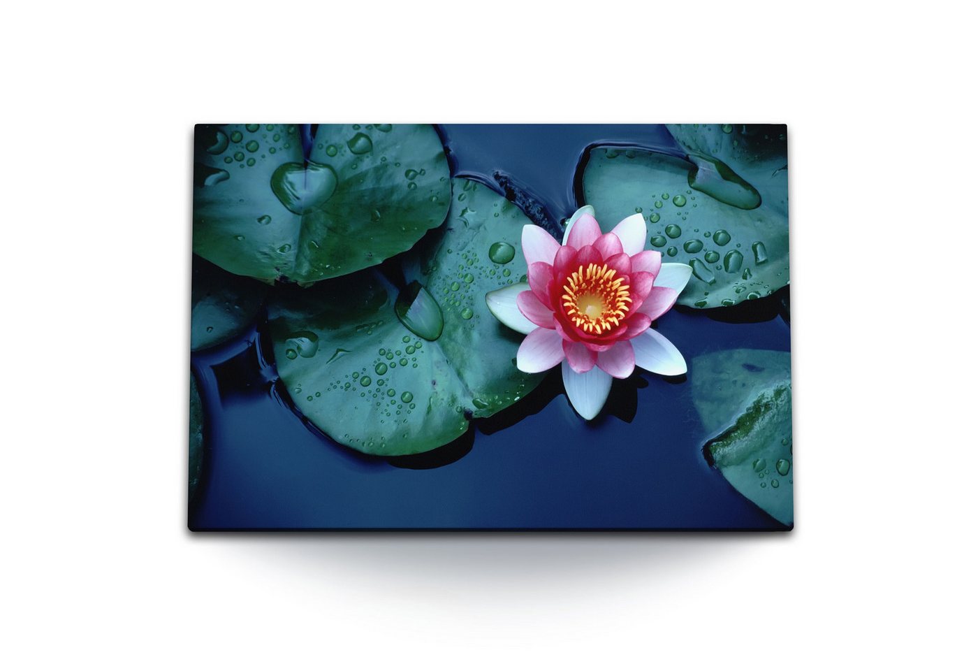 Sinus Art Leinwandbild 120x80cm Wandbild auf Leinwand Lotusblume Lotus Wasserblume Teich Rosa, (1 St) von Sinus Art