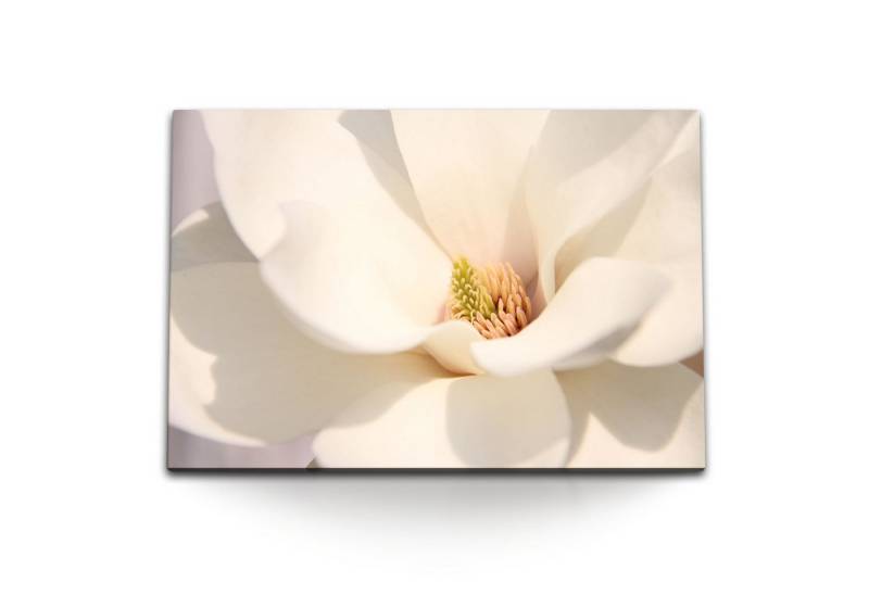 Sinus Art Leinwandbild 120x80cm Wandbild auf Leinwand Magnolia Blume Weiße Blüte Makrofotogra, (1 St) von Sinus Art