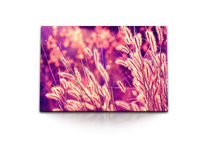 Sinus Art Leinwandbild 120x80cm Wandbild auf Leinwand Natur Weizenfeld Rosa Abendrot Pflanzen, (1 St) von Sinus Art