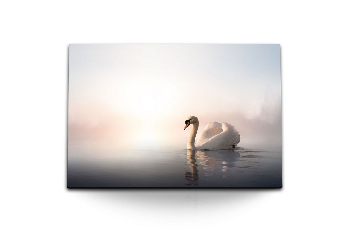 Sinus Art Leinwandbild 120x80cm Wandbild auf Leinwand Schwan See Nebel Natur Schwanensee Weiß, (1 St) von Sinus Art