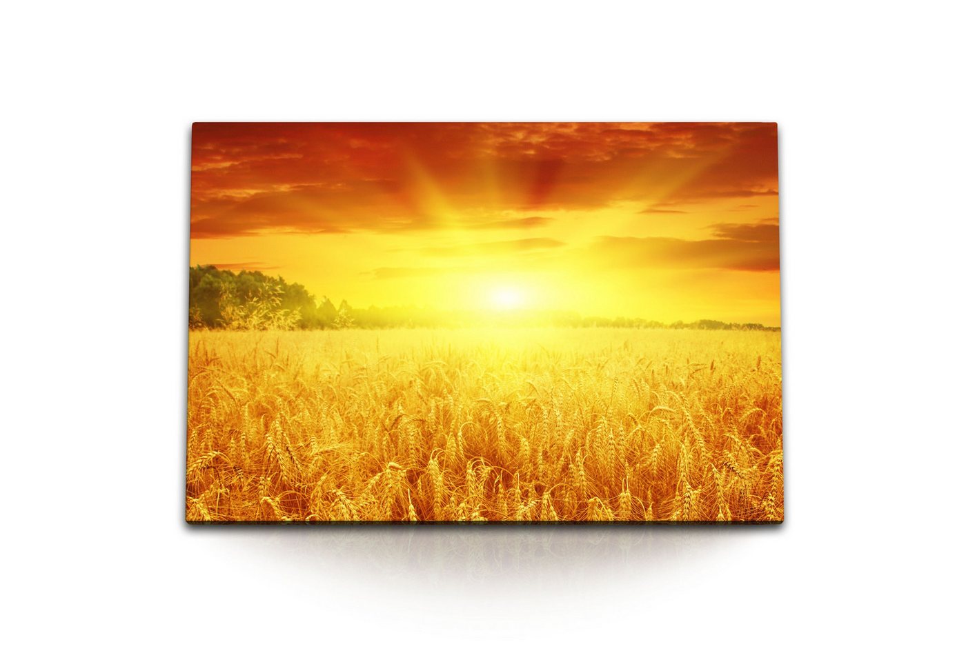 Sinus Art Leinwandbild 120x80cm Wandbild auf Leinwand Sonnenuntergang Feld Weizenfeld Natur A, (1 St) von Sinus Art