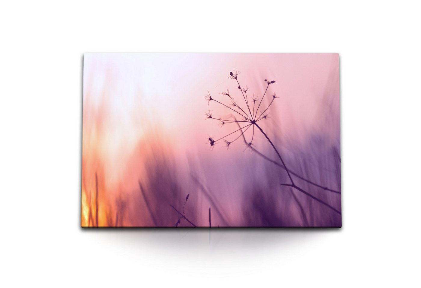 Sinus Art Leinwandbild 120x80cm Wandbild auf Leinwand Sonnenuntergang Natur Gewächs Rosa Blum, (1 St) von Sinus Art