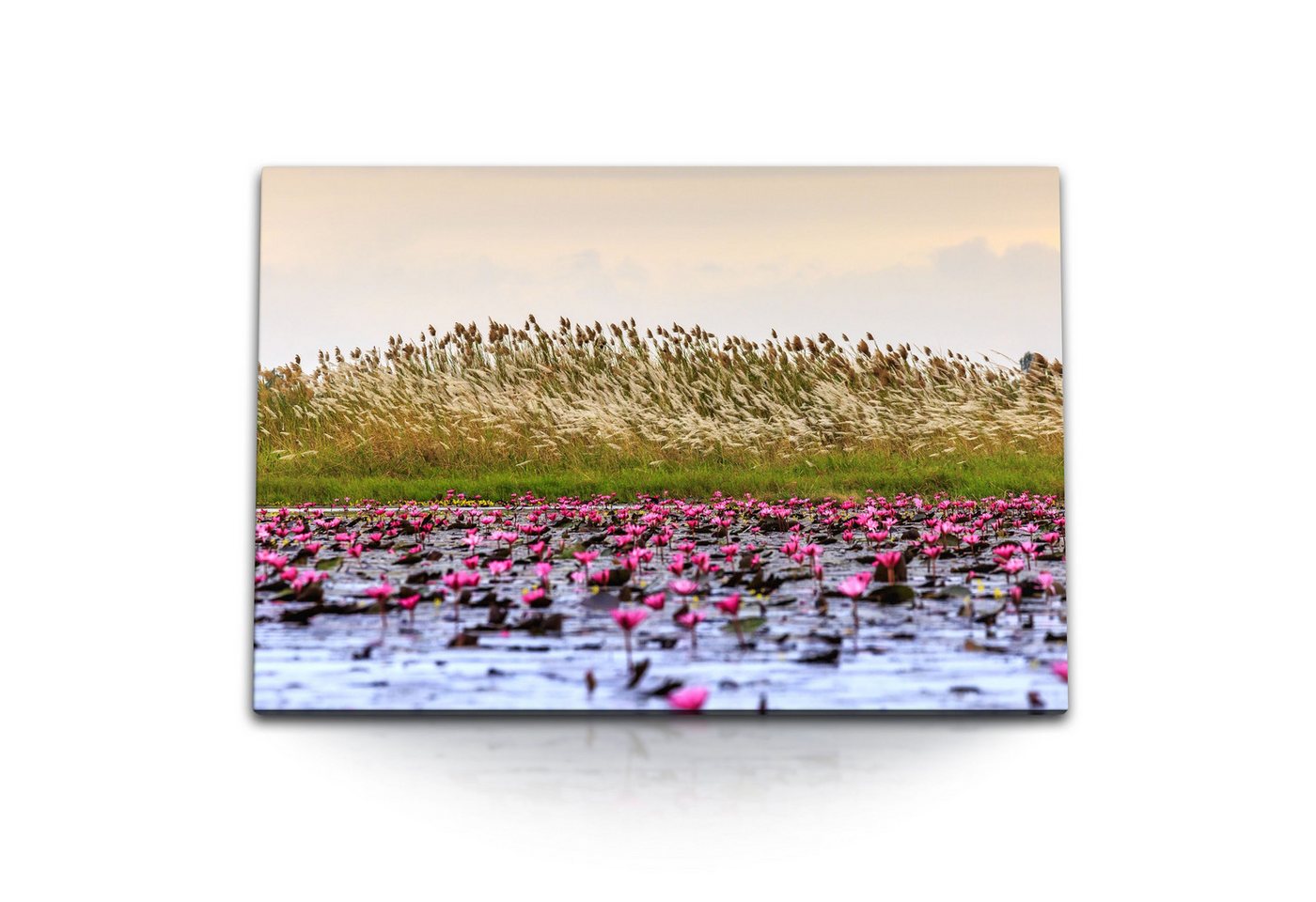 Sinus Art Leinwandbild 120x80cm Wandbild auf Leinwand Teich See Wasserpflanzen Natur Lotus Wa, (1 St) von Sinus Art