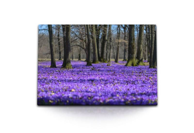 Sinus Art Leinwandbild 120x80cm Wandbild auf Leinwand Violette Blüten Blumen Natur Bäume, (1 St) von Sinus Art