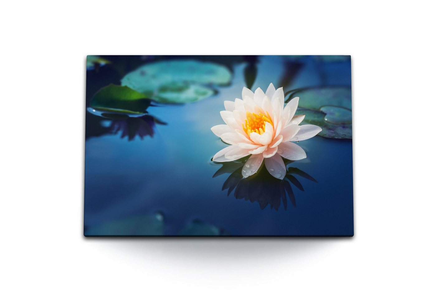 Sinus Art Leinwandbild 120x80cm Wandbild auf Leinwand Wasserblume Lotus Lotusblüte Teich weiß, (1 St) von Sinus Art