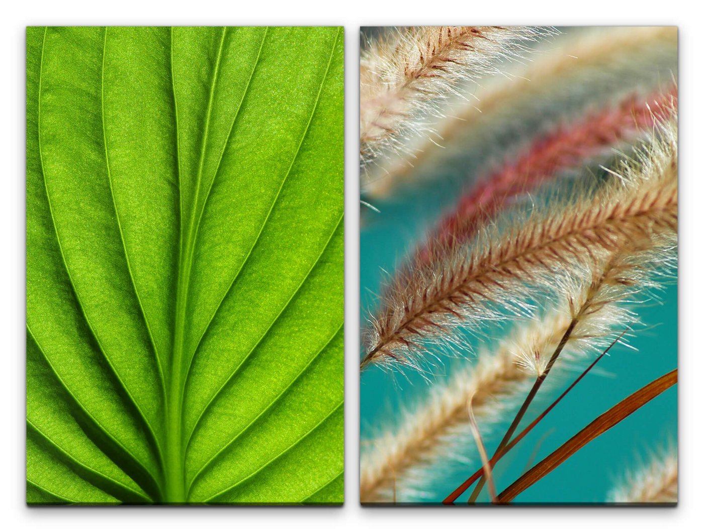 Sinus Art Leinwandbild 2 Bilder je 60x90cm Blatt Blattadern Halme Grün Natur Dekorativ Ansprechend von Sinus Art