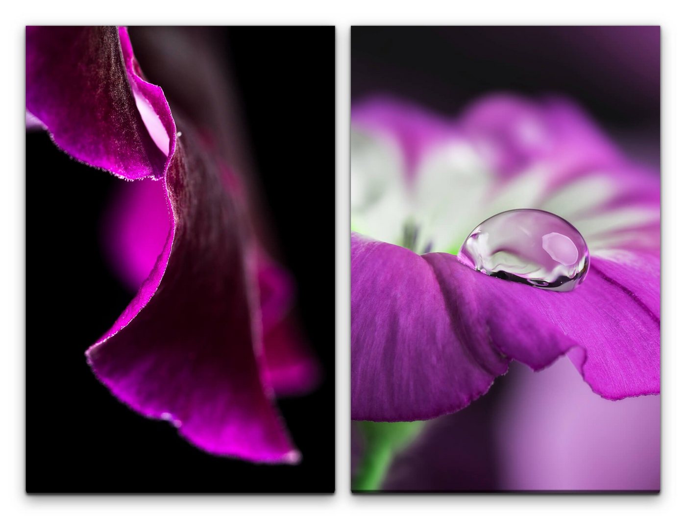 Sinus Art Leinwandbild 2 Bilder je 60x90cm Blumen Makro Tropfen Blüten Violett Fotokunst Zart von Sinus Art