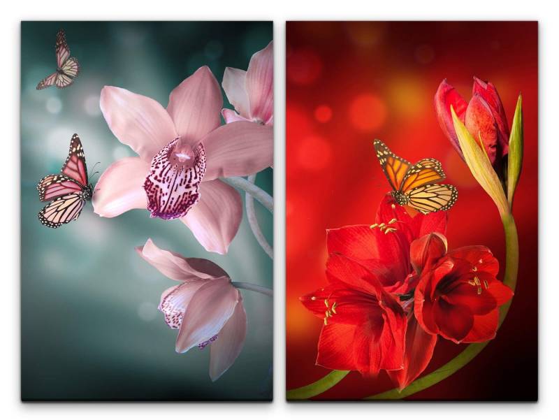 Sinus Art Leinwandbild 2 Bilder je 60x90cm Blumen Schmetterlinge Nahaufnahmen Bestäubung Sommer Großaufnahmen Makrofotograf von Sinus Art