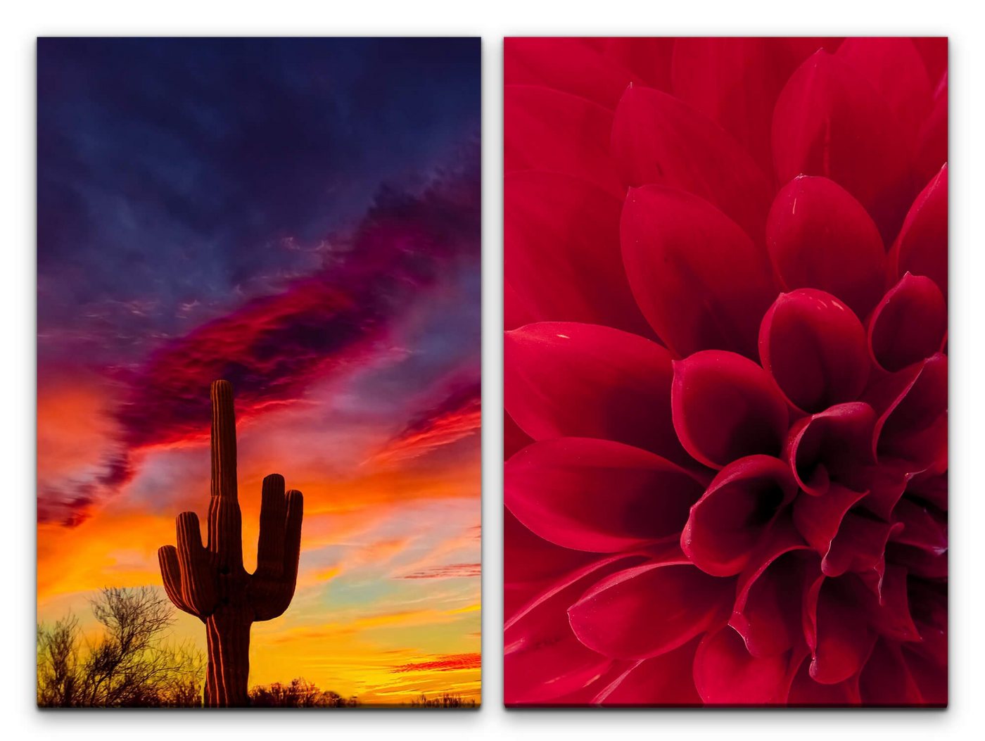 Sinus Art Leinwandbild 2 Bilder je 60x90cm Dahlie Arizona Kaktus Roter Himmel Wüste Sonnenuntergang von Sinus Art