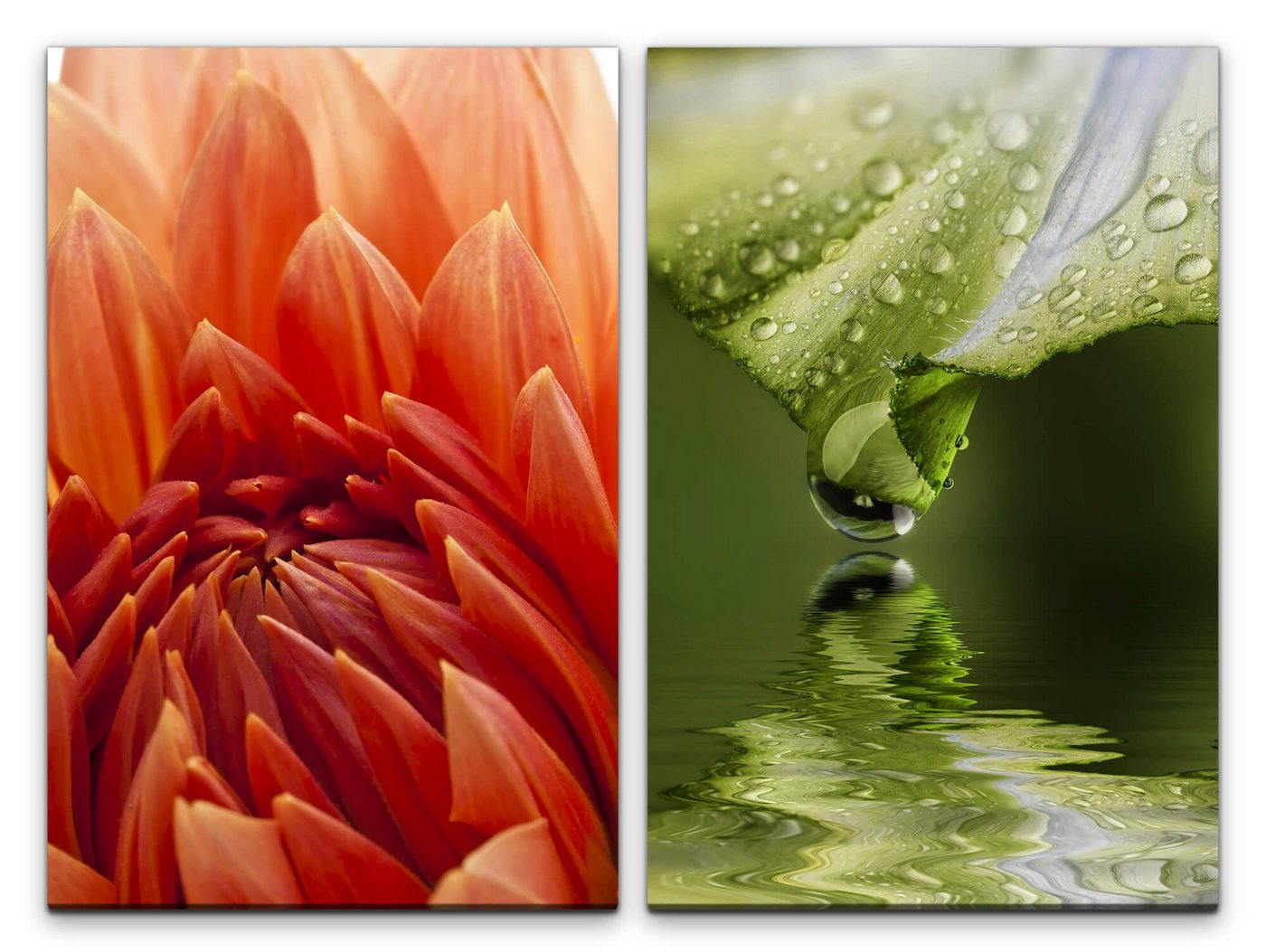 Sinus Art Leinwandbild 2 Bilder je 60x90cm Dahlie Bachblüte Grün Erfrischend Frisch Natur positive Energie von Sinus Art