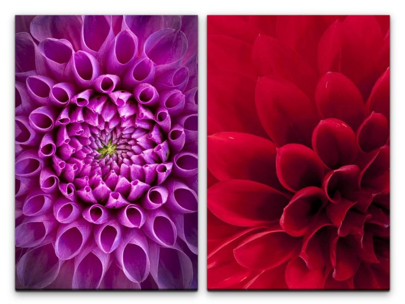 Sinus Art Leinwandbild 2 Bilder je 60x90cm Dahlie rote Blume Lila Sommer Farbenfroh Makrofotografie Warm von Sinus Art