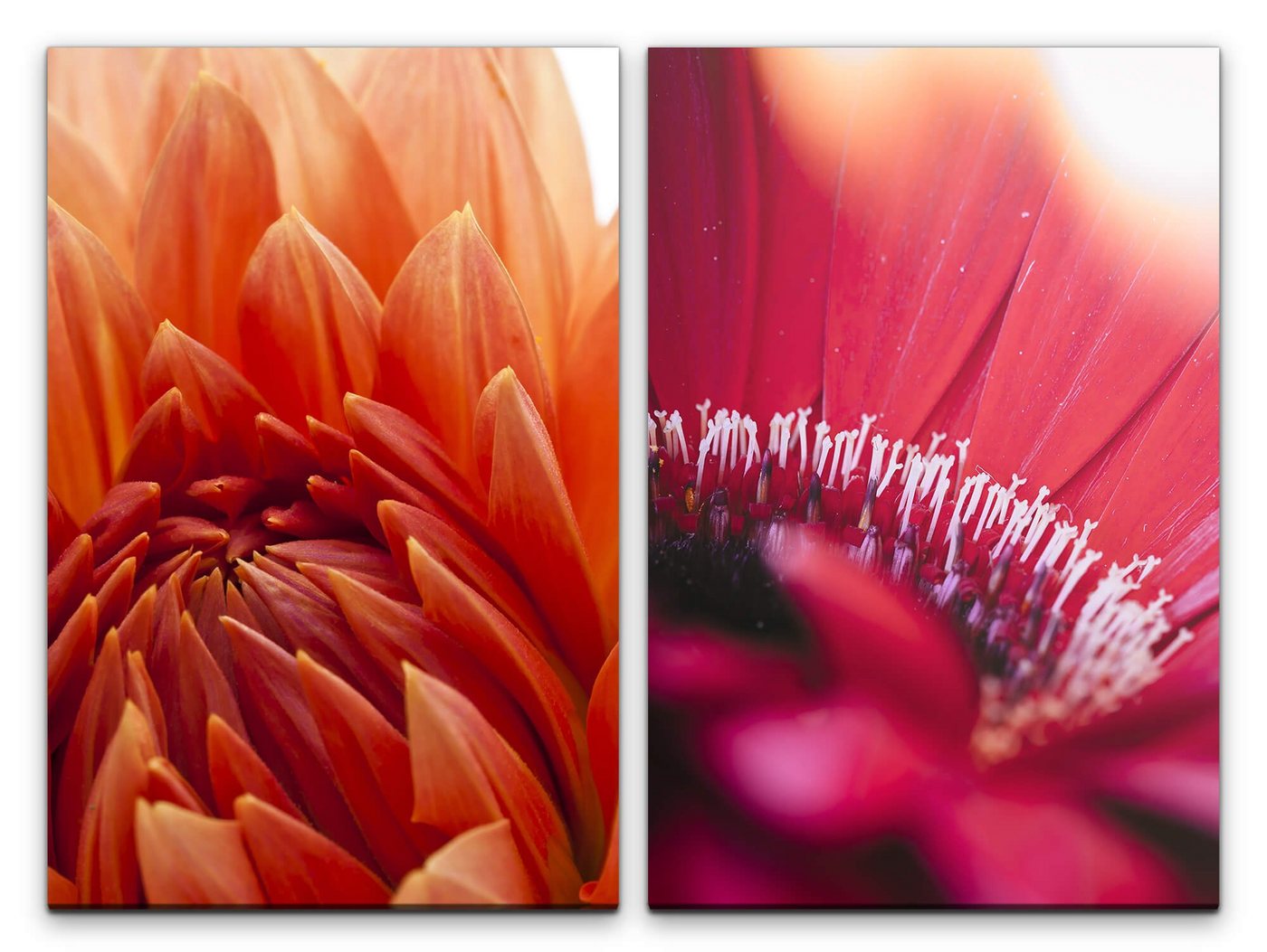 Sinus Art Leinwandbild 2 Bilder je 60x90cm Dahlie rote Blume Sommer Wärme Blüten Fotokunst Makrofotografie von Sinus Art