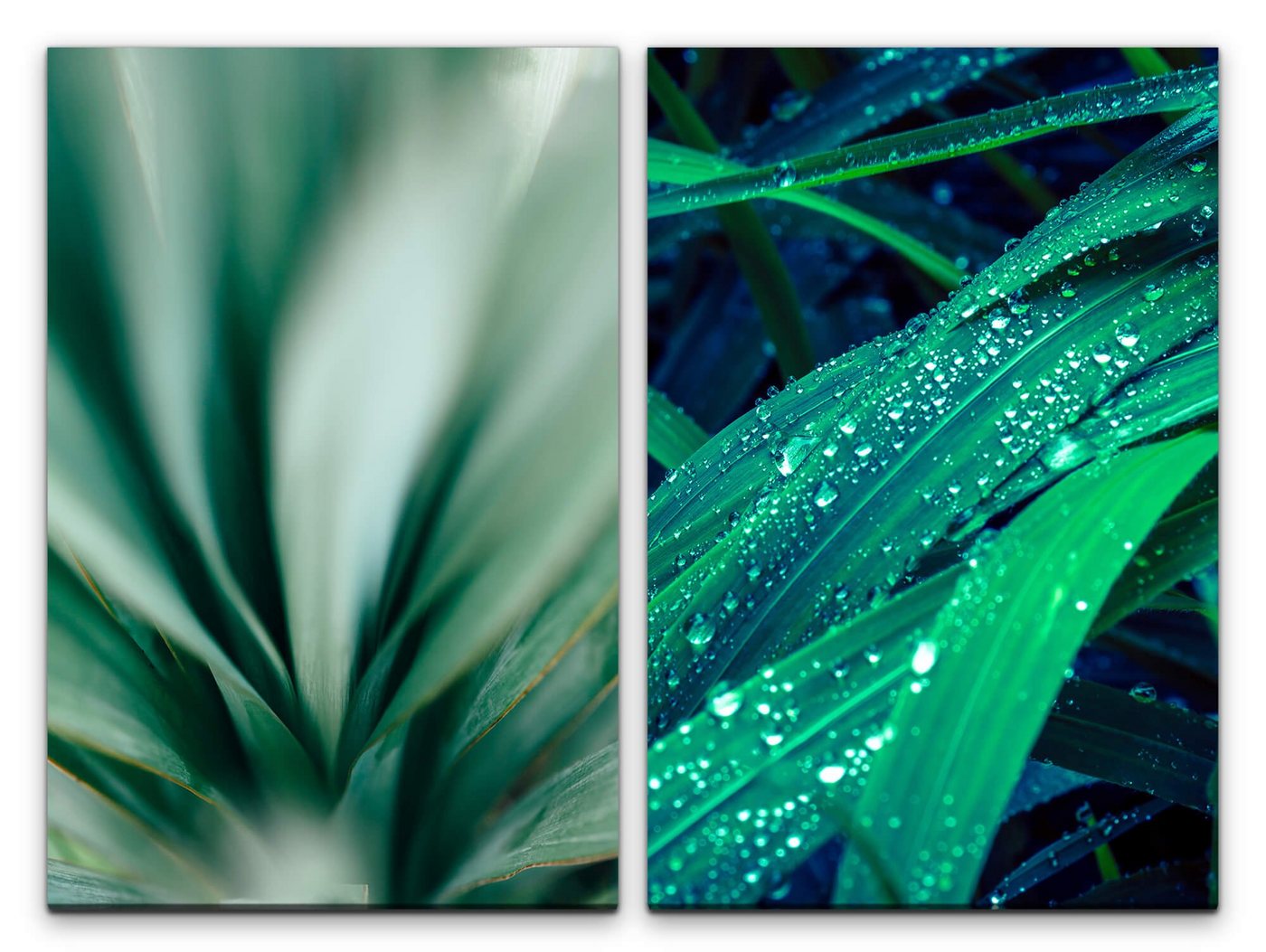 Sinus Art Leinwandbild 2 Bilder je 60x90cm Grünes Blatt Regentropfen Waldboden Erfrischend Harmonisch Natur Frische von Sinus Art