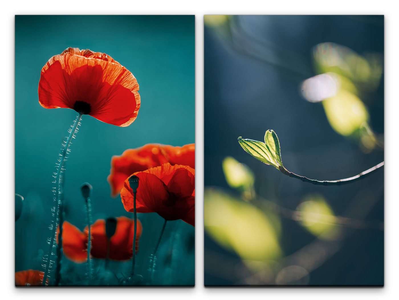 Sinus Art Leinwandbild 2 Bilder je 60x90cm Mohnblume rote Blüte Zweig Natur Entspannend Dekorativ Beruhigend Sinus Art Leinwandbild 2 Bilder je 60x90cm Mohnblume rote Blüte Zweig Natur Entspannend Dekorativ Beruhigend von Sinus Art