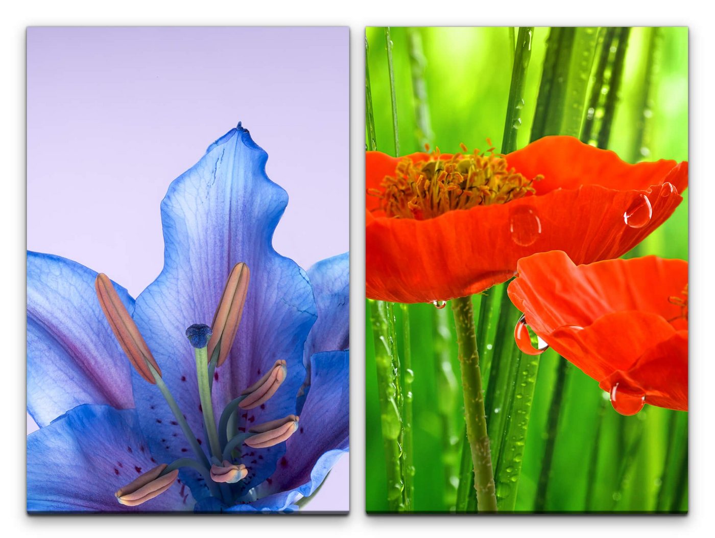 Sinus Art Leinwandbild 2 Bilder je 60x90cm Orchidee Blumen Natur Regentropfen Frisch Erfrischend Makrofotografie von Sinus Art