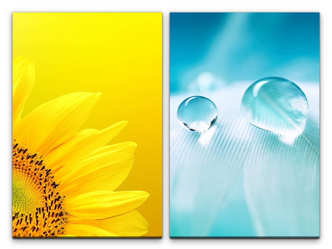 Sinus Art Leinwandbild »2 Bilder je 60x90cm Sonnenblume Gelb Feder Tropfen Blau Hellblau Makro« von Sinus Art