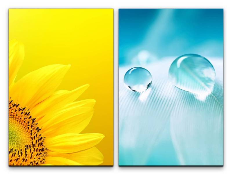 Sinus Art Leinwandbild 2 Bilder je 60x90cm Sonnenblume Gelb Feder Tropfen Blau Hellblau Makro von Sinus Art