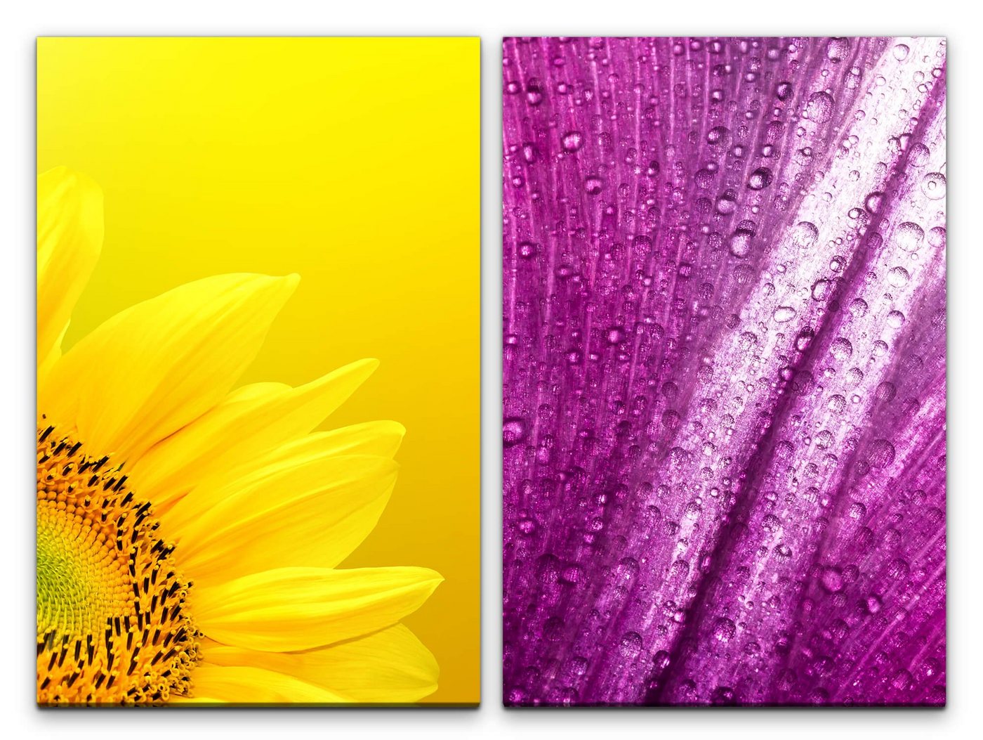 Sinus Art Leinwandbild 2 Bilder je 60x90cm Sonnenblume Gelb Wassertropfen Tropfen Vinyl Blumen Makrofotografie von Sinus Art